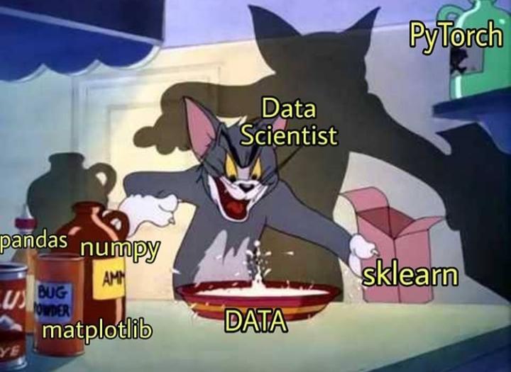 Tom and Jerry Data Science Meme