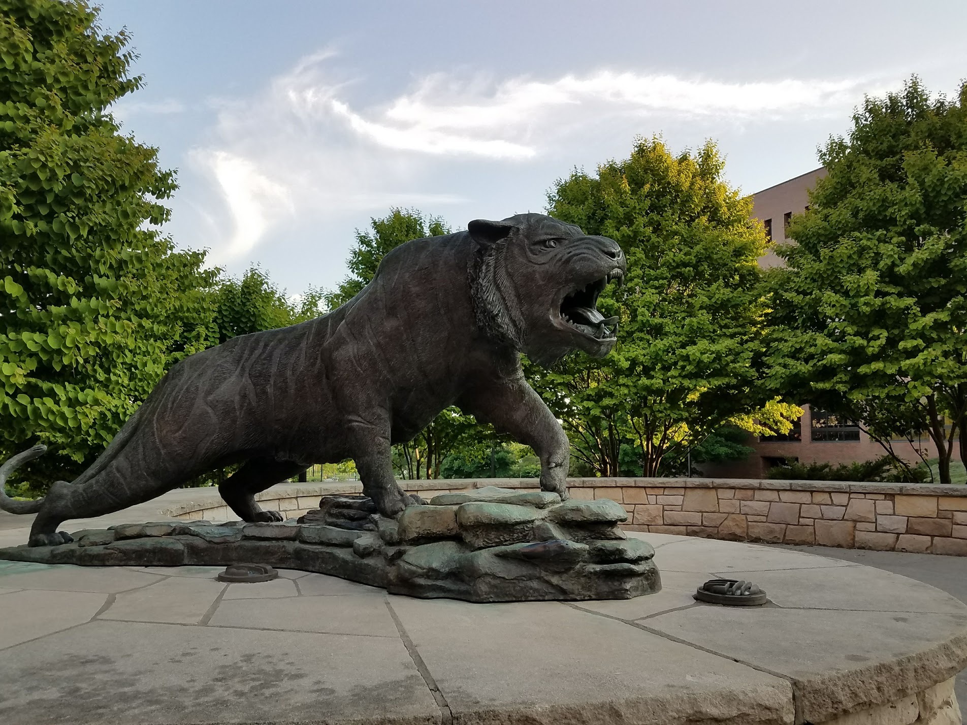 RIT Tiger during the summer