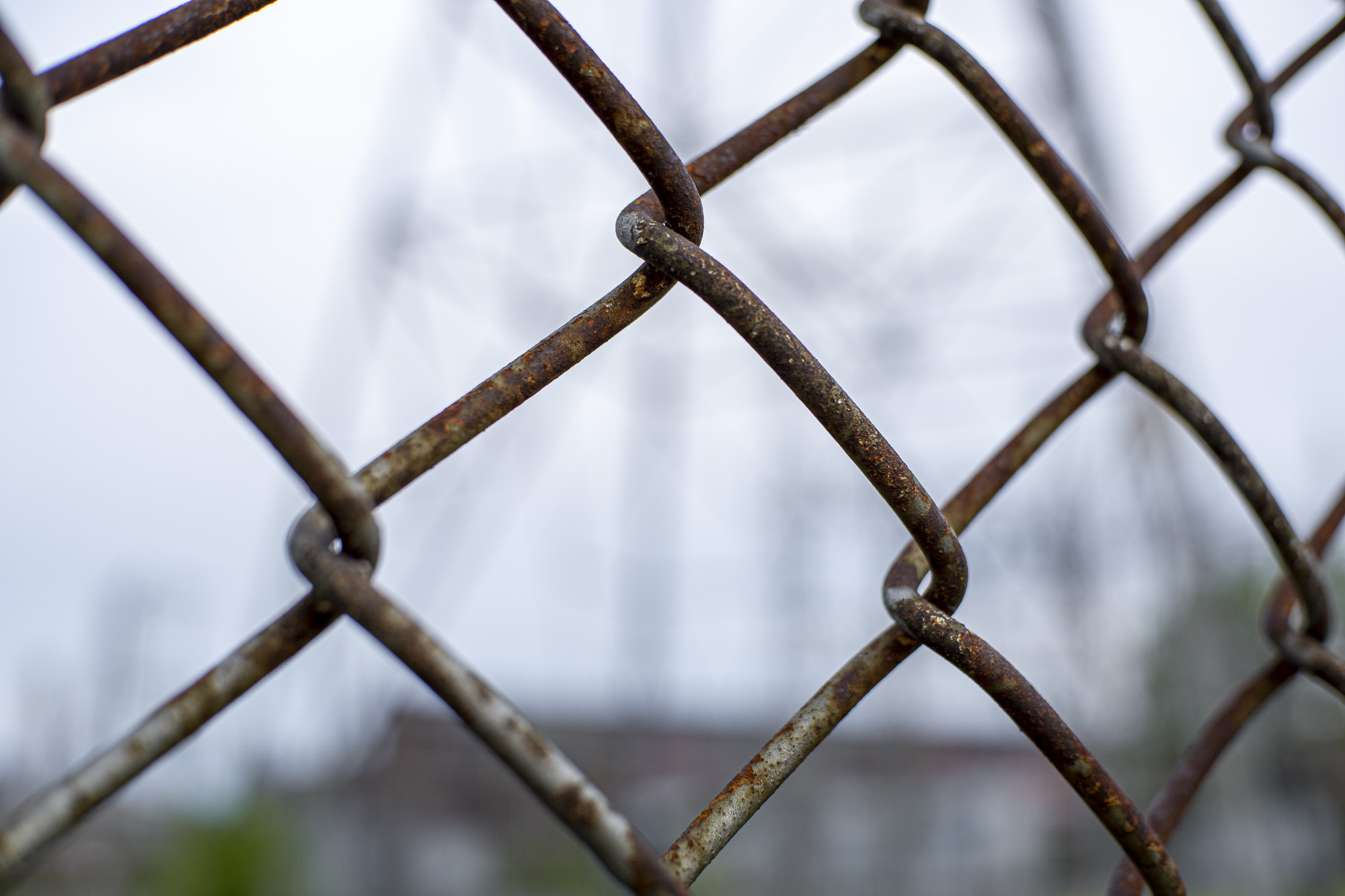 image of a fence with the background blurred out