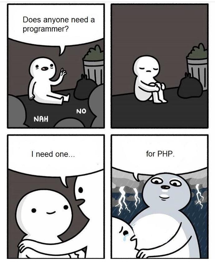 PHP developer meme